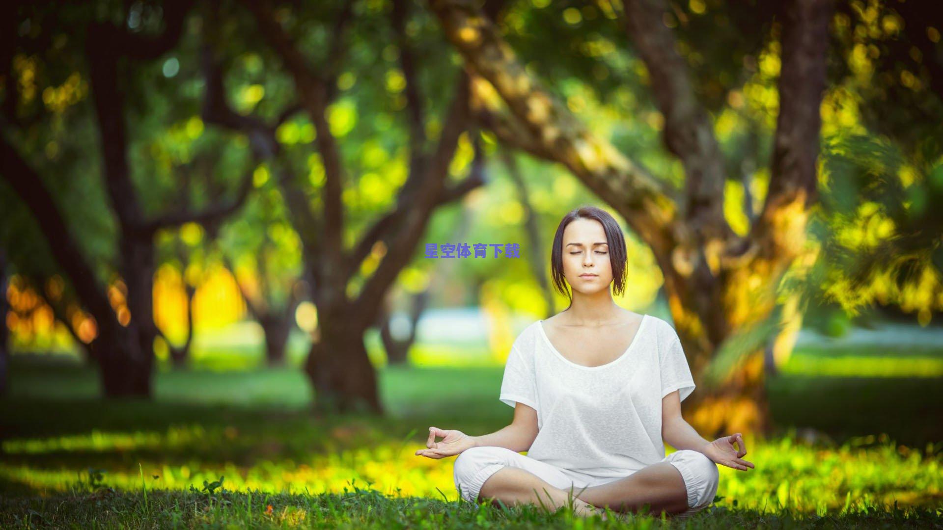 亚冠联赛激战正酣 中超豪门展现强劲竞争力